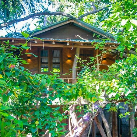 Hotel Dambulla Wilderness World Экстерьер фото
