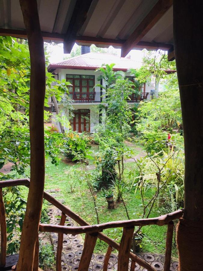 Hotel Dambulla Wilderness World Экстерьер фото