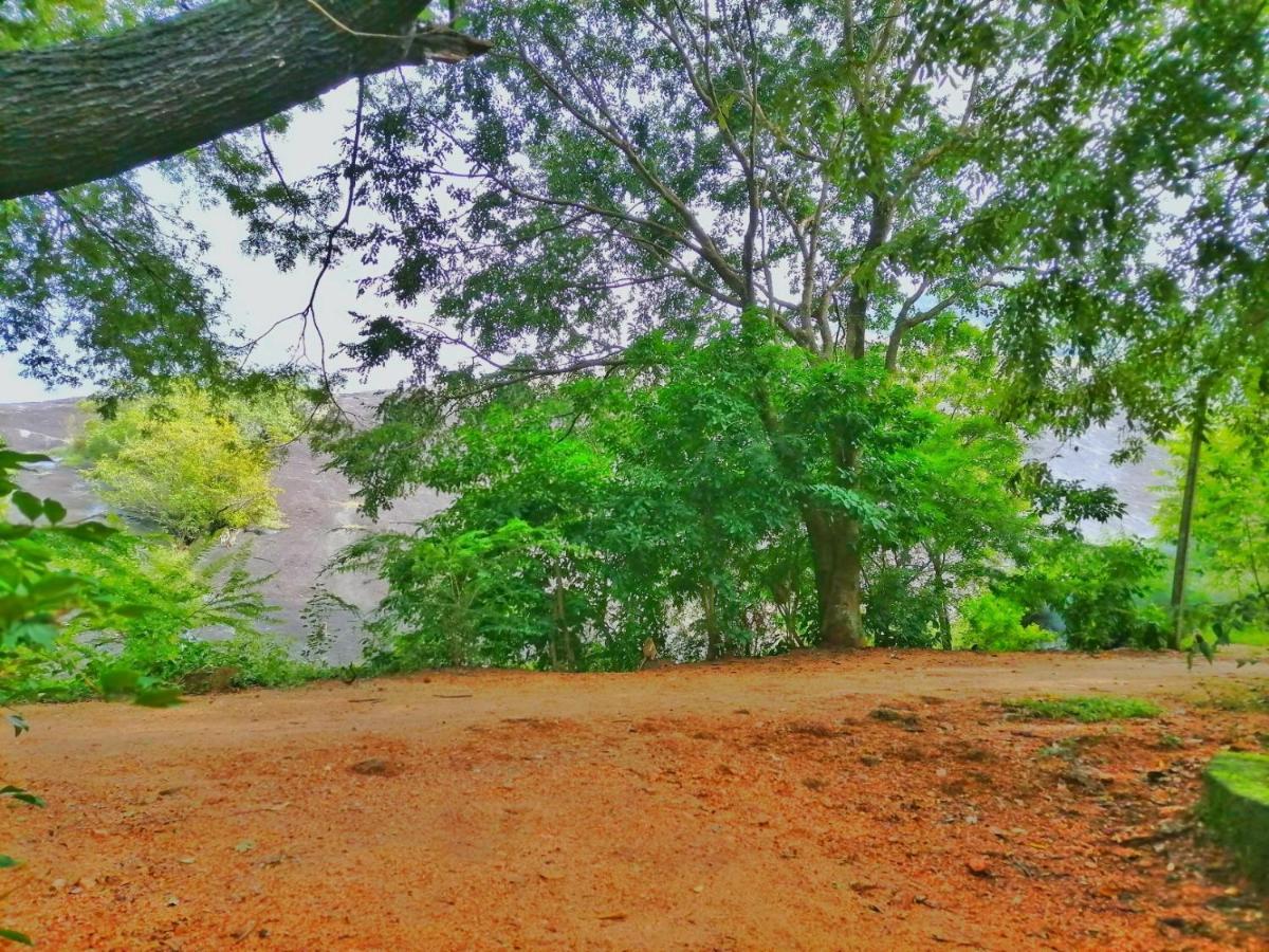 Hotel Dambulla Wilderness World Экстерьер фото