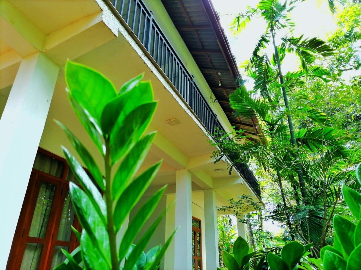 Hotel Dambulla Wilderness World Экстерьер фото