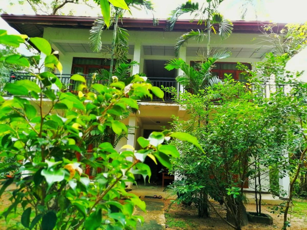 Hotel Dambulla Wilderness World Экстерьер фото
