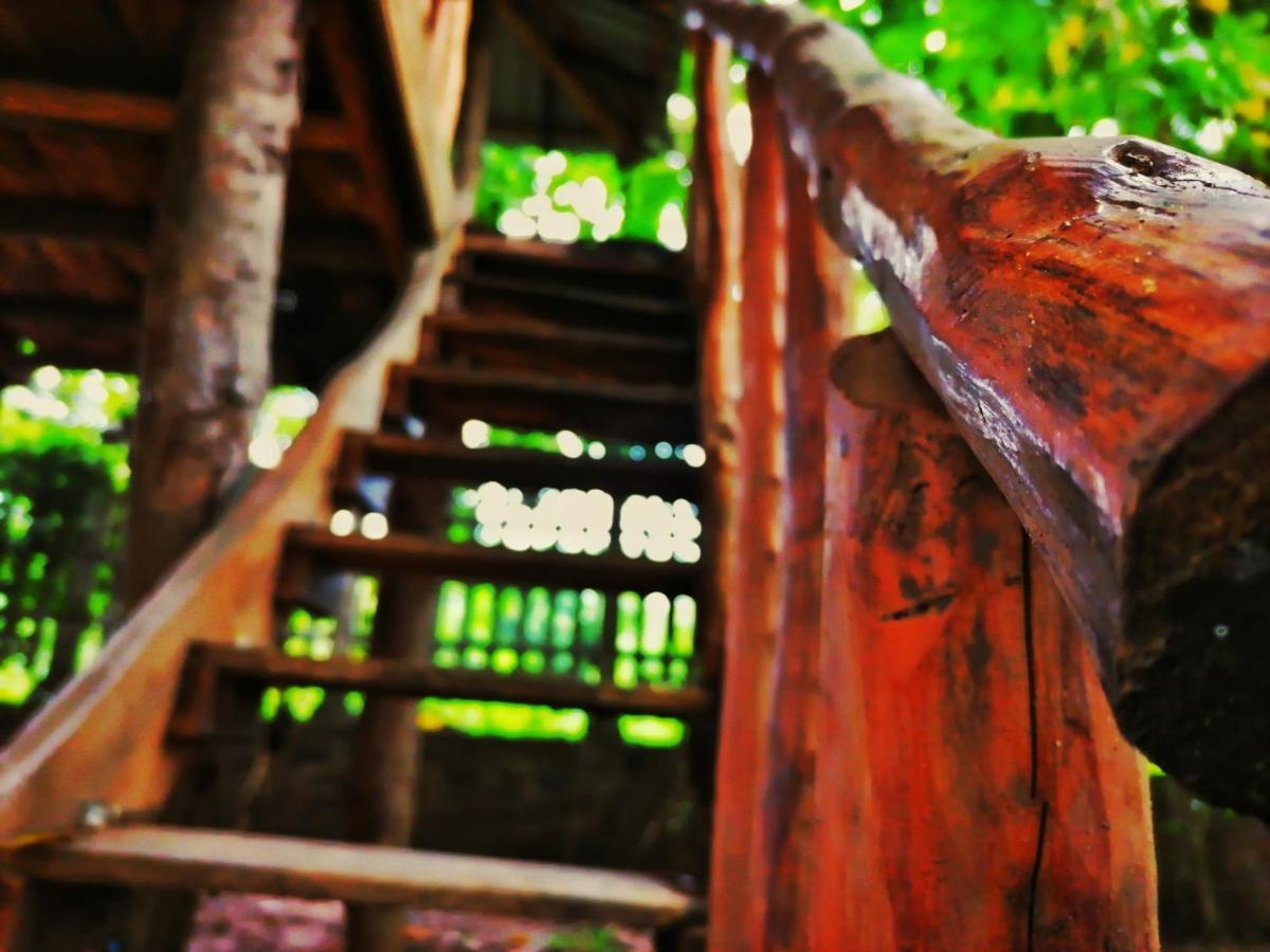 Hotel Dambulla Wilderness World Экстерьер фото