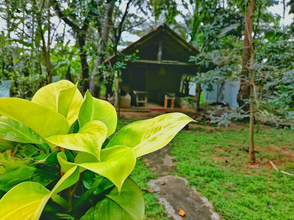 Hotel Dambulla Wilderness World Экстерьер фото